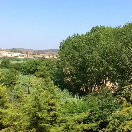 Vakantiehuis Spacious House + Balcony *